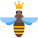 奎恩蜜蜂 icon