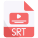 SRT icon