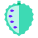 Graviola icon