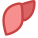 Liver icon