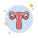 Gebärmutter icon
