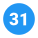 31 Circle icon