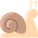 Snail icon