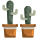 Cactus icon