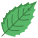 Holly Leaf icon