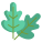 橡树叶 icon