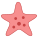 Starfish icon