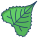 Eastern Cottonwood Leaf icon
