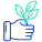 阳光下的植物 icon