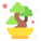 Bonsai icon