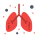 Pulmones icon