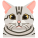 Katze icon