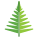 Fern icon