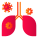 Lungs Infection icon