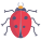 Ladybug icon