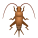 cricket-emoji icon