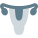 Uterus icon