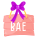 Bae icon