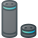 Alexa icon