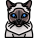 Cat icon