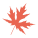 Maple leaf icon