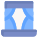 Window icon