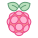 Raspberry Pi icon