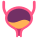 Bladder icon