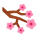 Cerejeira em flor icon