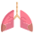 Lung icon