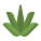 Aloe Vera icon