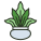 Fern icon