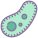 Bacteria icon