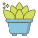 多肉植物 icon