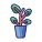 Ficus icon