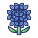 Hydrangea icon