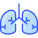 Pulmones icon