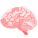 Brain icon