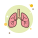 Polmoni icon