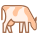 Cow Breed icon