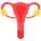 Uterus icon