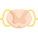 Anatomy icon