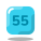 (55) icon