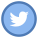 Twitter entouré icon