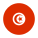 Tunísia-circular icon