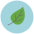 Leaf icon