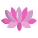 莲花 icon