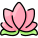 Lotus icon