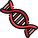 Dna icon