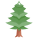 Pine Tree icon